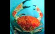 Giant-Crab.jpg